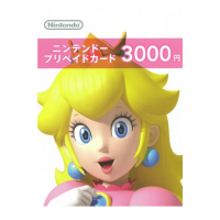 ¥3000 Nintendo eShop